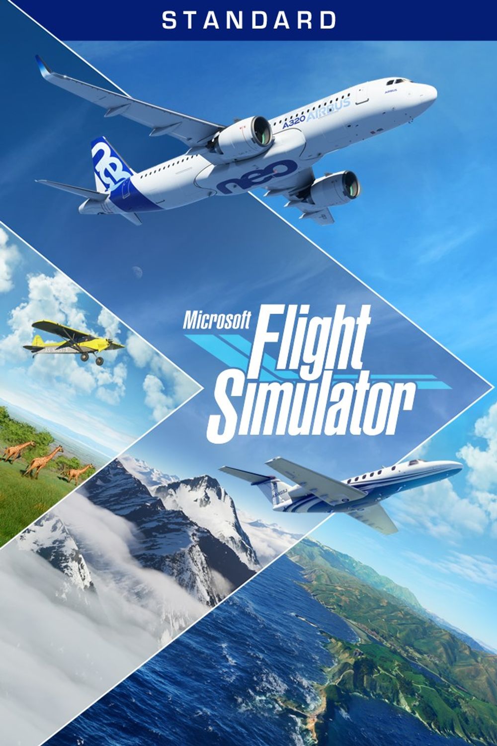 Microsoft Flight Simulator poster
