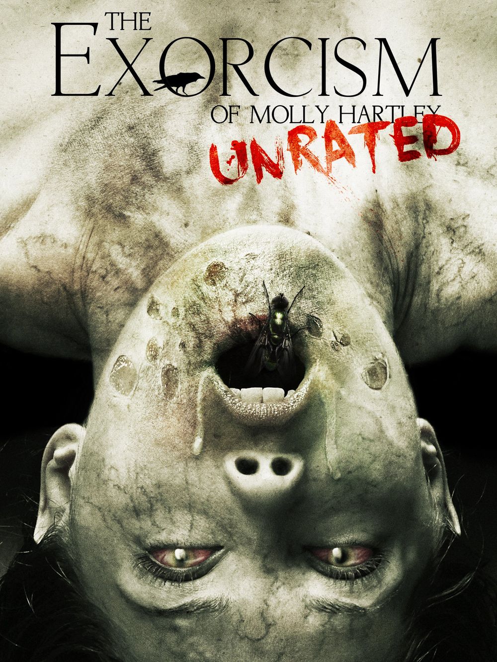 The Exorcism Of Molly Hartley poster