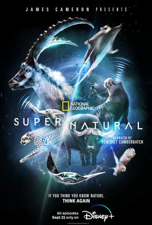 Super Natural poster