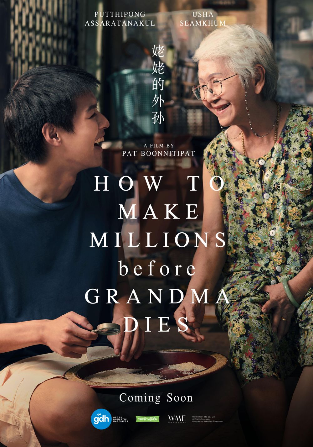 How To Make Millions Before Grandma Dies poster