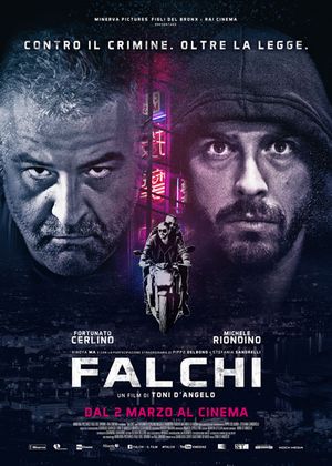 Falcons Special Squad poster