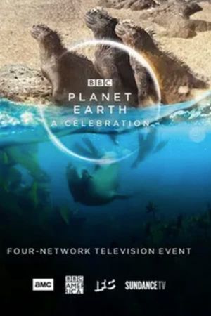 Planet Earth A Celebration poster