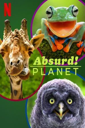 Absurd Planet poster